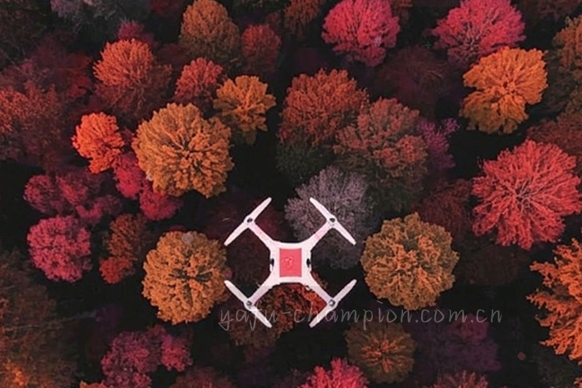分层排列的档案卡与编号标签组成的内容地图示意，墨绿与暖金配色